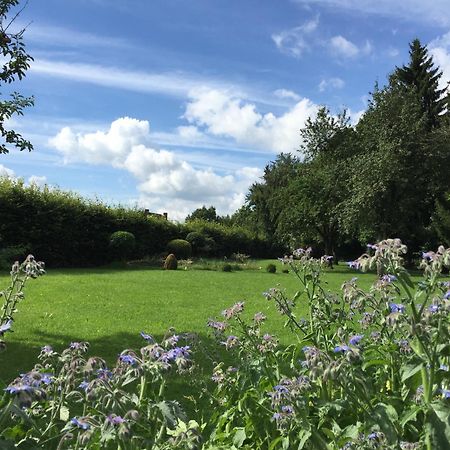 Flair Hotel Gruener Baum Donaueschingen Εξωτερικό φωτογραφία