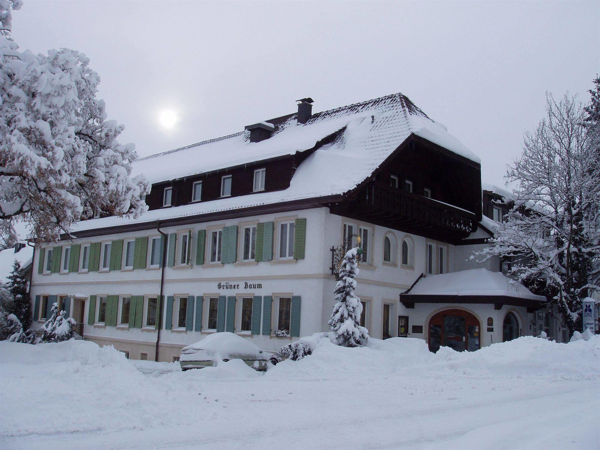 Flair Hotel Gruener Baum Donaueschingen Εξωτερικό φωτογραφία
